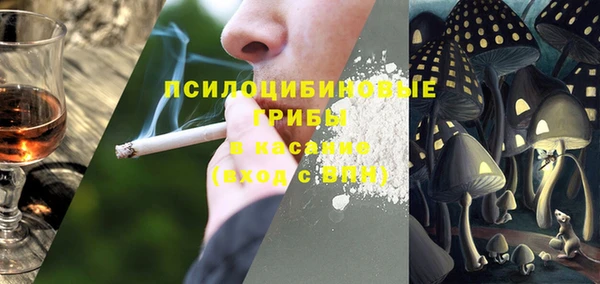 a pvp Алексин