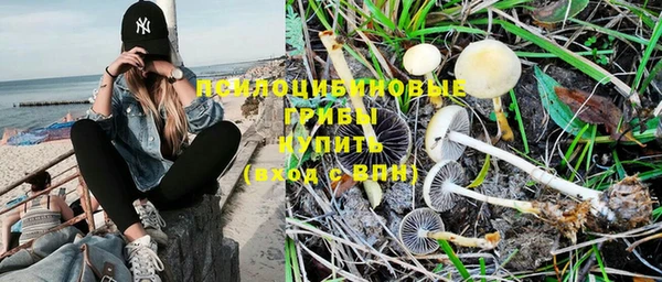 стаф Алексеевка