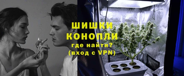 PSILOCYBIN Алзамай